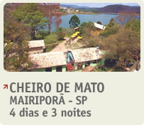 Cheiro de Mato