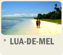 Lua-de-mel